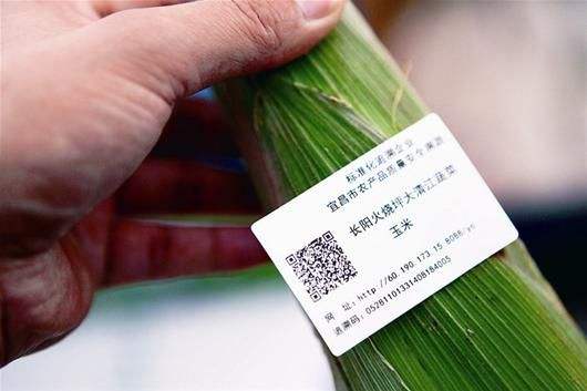 溯源，一物一碼