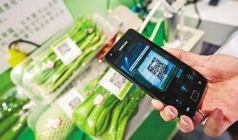 防偽信息追溯標簽