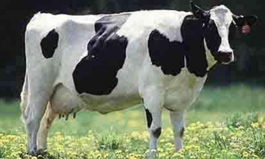 奶粉防竄貨系統