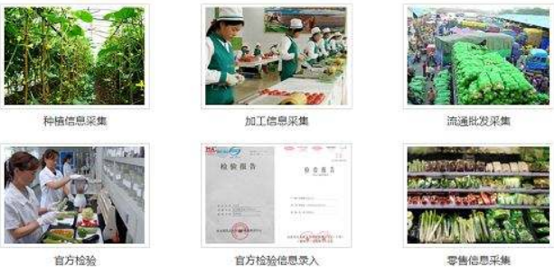 食品防偽溯源系統保障食品安全