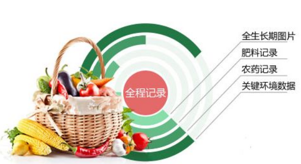 農產品防偽溯源系統有哪些好處