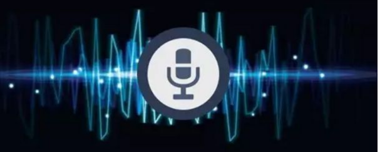 語音識別防偽技術