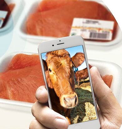 畜牧養殖追溯系統開發 畜牧養殖追溯系統開發