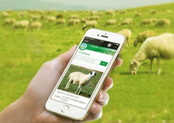 智能養殖追溯系統