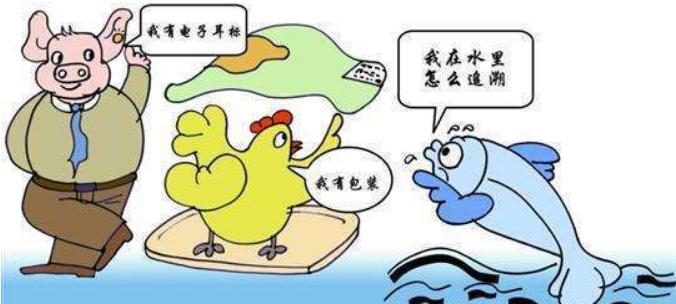 水產品質量安全溯源