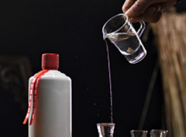 白酒渠道管控系統