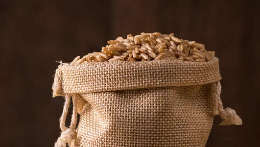 種子二維碼溯源系統