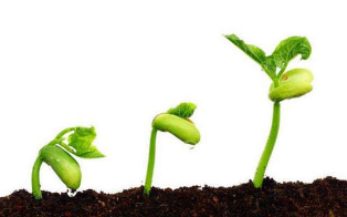 1687657831155118.png 20190924.png