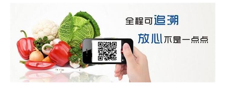 1708933169843908.jpg 2019022503.jpg